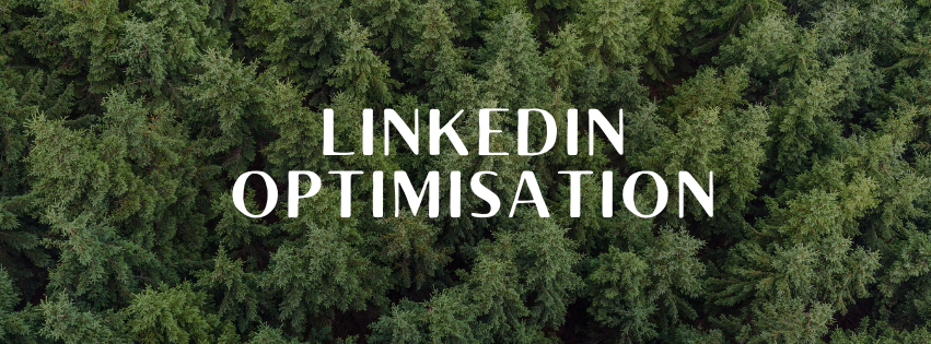 LinkedIn Optimization